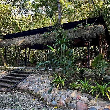 Kuyana Amazon Lodge Archidona Zewnętrze zdjęcie