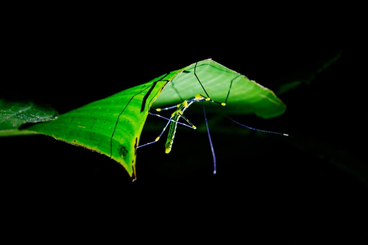 Kuyana Amazon Lodge Archidona Zewnętrze zdjęcie