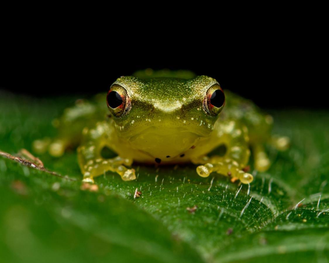 Kuyana Amazon Lodge Archidona Zewnętrze zdjęcie
